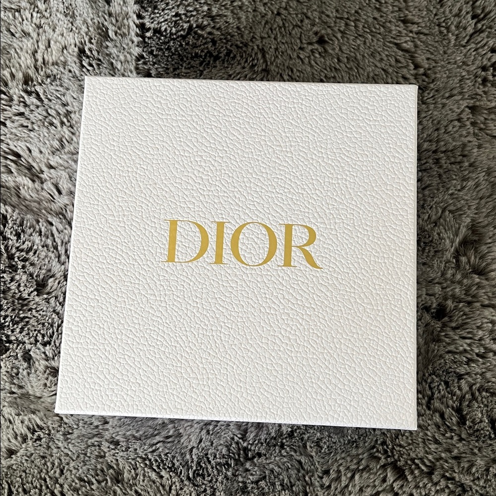 Dior Blush Pink Clutch with Silver Logo - Picture 9 of 10